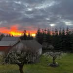 Noble Woods Farm - @noblewoodsfarm - Instagram
