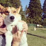 nobuo_hayashi - @nobu5284 - Instagram