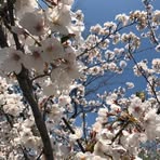 Nobuo Mori - Facebook