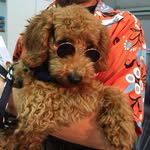 Nobuo Mori - @nobuo8388 - Instagram
