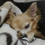 Nobuo Suzuki - @nobuo2605 - Instagram