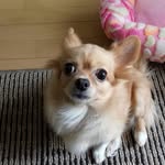 Nobuo Suzuki - @nobuo.suzuki.779 - Instagram