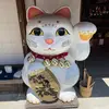 のぶくん - @nobuosuzuki8 - TikTok