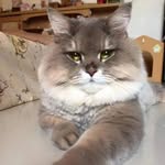 Angel Nobuo Uematsu - @nomorevillans - Instagram