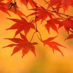 吉田宜生 - @nobuo.yoshida.71 - Instagram