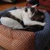 Nobuo Yoshida - Facebook