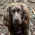 Noddy Holder - @noddyh6069 - Instagram