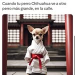 Jose Torres - @noe.aispuro.31 - Instagram