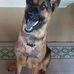 Noe Alaniz - Facebook