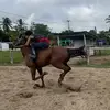 Noel Alejandro632 - @noelalejandro632 - TikTok