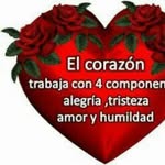 Noe Almendarez - @noealmendarez - Instagram