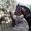 noe aparicio - @noeapariciod - TikTok