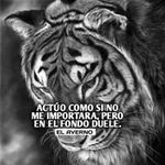 Noe Arguello - @arguello5939 - Instagram