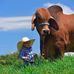 Noe Arias Arcos - Facebook