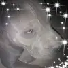 noebarron33 - @noebarron33 - TikTok