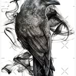 Noe Cadena - @noe.cadena.332 - Instagram