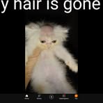 Noe Casanova - Facebook