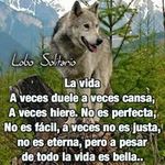Noe Cespedes - @noe.cespedes.35 - Instagram