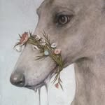 Noe Conde Vitale - @condevitale - Instagram