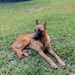 Noe Davila Casimiro - Facebook