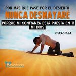 Noe Gregorio Dias Navarro - @noegregoriodias - Instagram