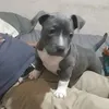 Ignacio Noe Gonzalez - @ignacionoegonzalezoliva1 - TikTok