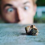 Noé Ignacio de la Concepción - @acatchete - Instagram