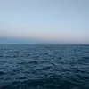Noe ochoa - @noe.ochoa63 - TikTok