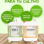 Noe Posada - Facebook