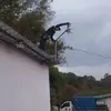 Noe Posada - @noe.posada0 - TikTok