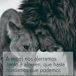 Noe Posadas - @posadas.noe - Instagram