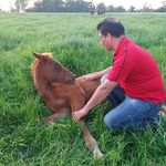Noe Quevedo - @noequevedo66 - Instagram