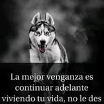 Noe Recinos - @noer.ecinos - Instagram