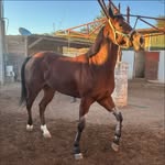 Noe Sr Salgado - @noesalgadosr - Instagram