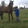 user2045708218188 - @noe.salgado - TikTok