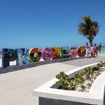Noe Vences - @noevences1 - Instagram