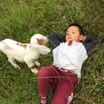 Noe❤️👦🏻principe 🤴🏻 - @noe_vences_ - Instagram