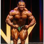 IFBB PRO Noel Adame - @noel.adameifbbpro - Instagram