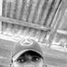 Alpher Noel - Facebook