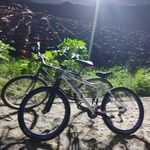 Noel Avalos - @noelavalos16 - Instagram