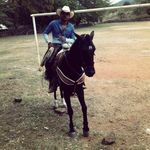 Noel Prieetito Avila Parra - @noelavilaparra - Instagram