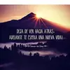 Noel Baca252 - @noelbaca252 - TikTok
