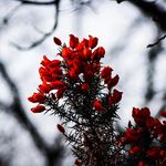 NBphotography - @noelbarr - Instagram