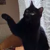 Noel Barthod 39140 - @noel.barthod.3914 - TikTok
