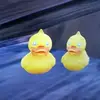 noelNoel Baráth - @noelnoel.barth - TikTok