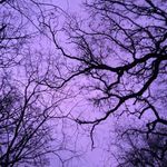 @noel_bean_ - Instagram