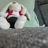 noel alberg - @noelalberg - TikTok