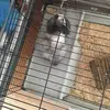 noelbergbring - @noelbergbring - TikTok