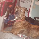 Noel Biggs - @noelbiggs429 - Instagram