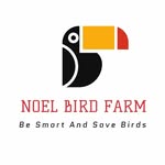 Noel BF - @noelbirdfarm - Instagram